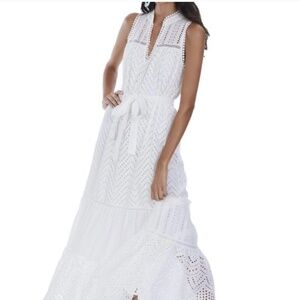 NWT Allison NYC eyelet maxi dress